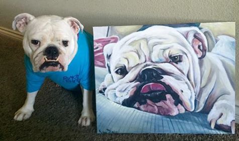 Give the Gift of a Pet Portrait This Year!